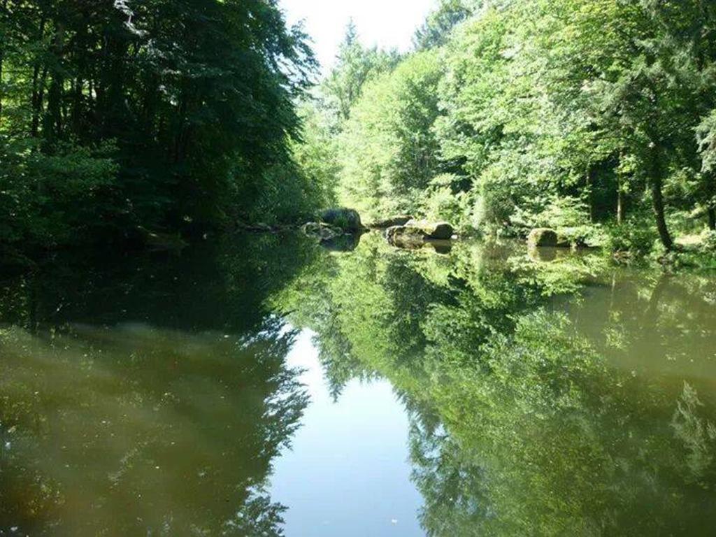 Moulin de Record Villa Ferrieres  Buitenkant foto